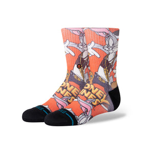 Kids Looney Crew Socks